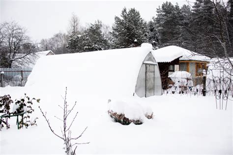 Small Greenhouse for Winter: Do Greenhouses Stay Warm in Winter?