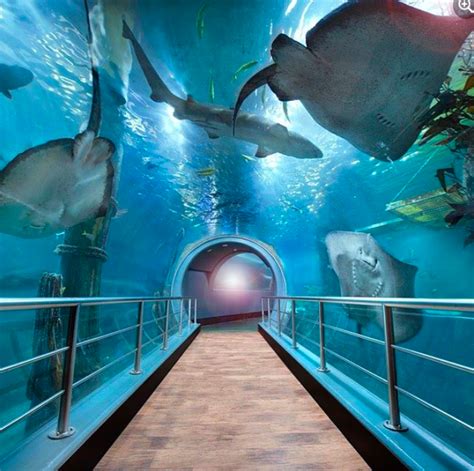 sea life melbourne aquarium corporate event venues