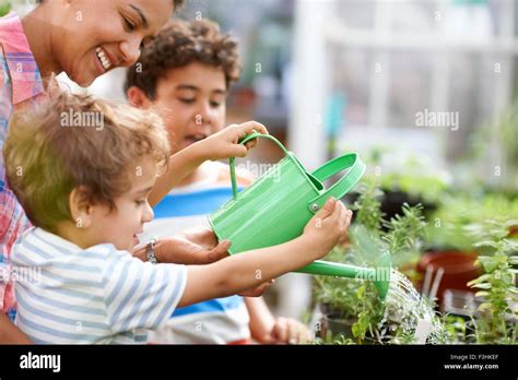 Woman Two Sons Not Baby Not Beach Hi Res Stock Photography And Images