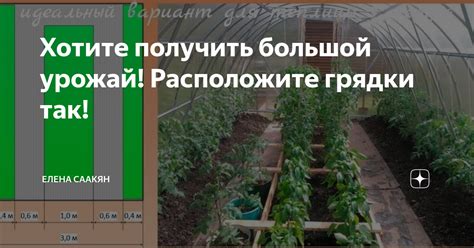 Грядки в теплице 3 на 6: ширина метра и расположение 6х3, фото сделать ...
