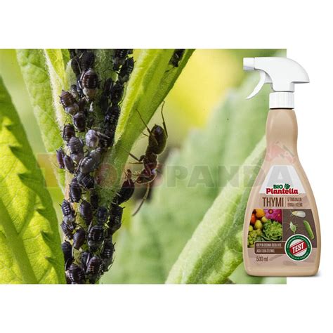 Спрей натурален Bio Plantella Thymi подсилва растенията и отблъсква ...