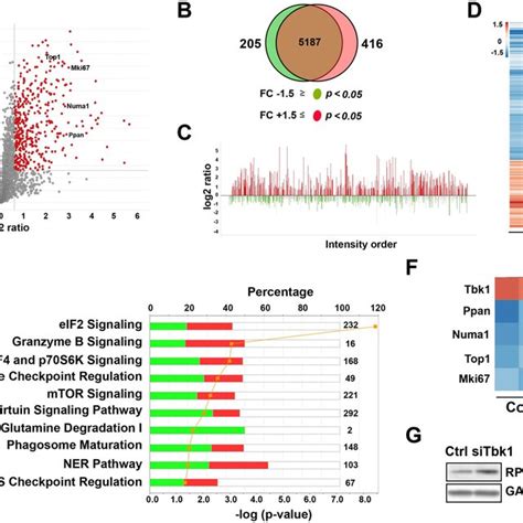 Ingenuity Pathway Analysis Identifies Top Canonical Pathways Associated