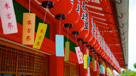 Fushimi Inari Shrine Tours - Book Now | Expedia