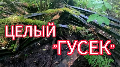 НАШЁЛ ЦЕЛУЮ СТРЕЛУ "ГУСЕК". ТРАКИ, АККУМУЛЯТОР, ЗАПЧАСТИ. ПОИСК В ЛЕСУ ...