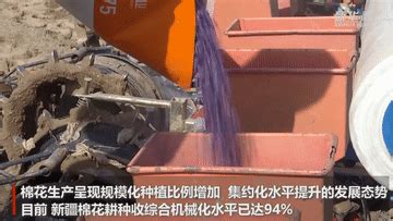 新华全媒 丨中国棉花主产区拉开春播序幕 荆楚网 湖北日报网