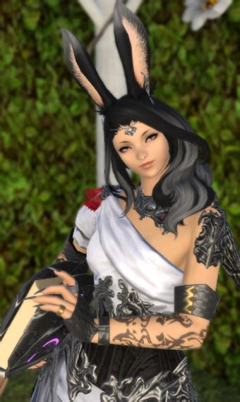 Wings to Fly | Eorzea Collection