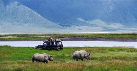 1 Giorno Di Safari Privato Nel Cratere Di Ngorongoro GetYourGuide