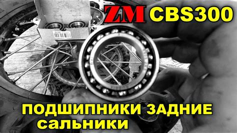 ZM CBS300 / ПОДШИПНИКИ ЗАДНЕЙ СТУПИЦЫ / САЛЬНИКИ / ЗАМЕНА - YouTube