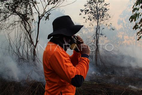 Karhutla Di Sekitar Pemukiman Penduduk Antara Foto