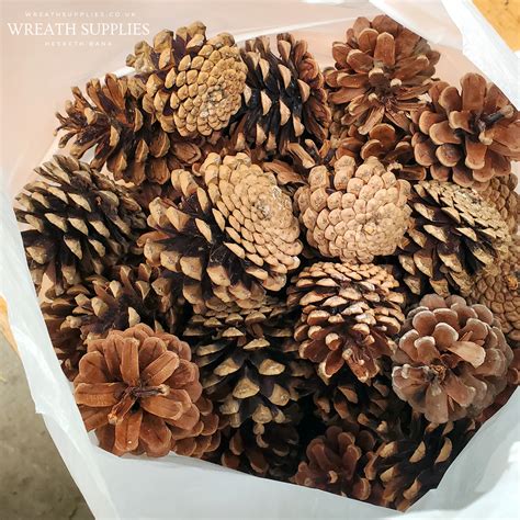 1kg Natural Pine Cones Wreath Supplies
