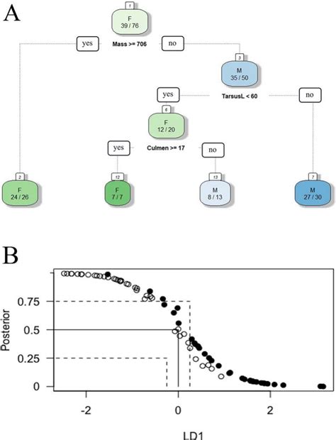 Morphometric Sex Determination Across Nestling Age Classes Of Swainson