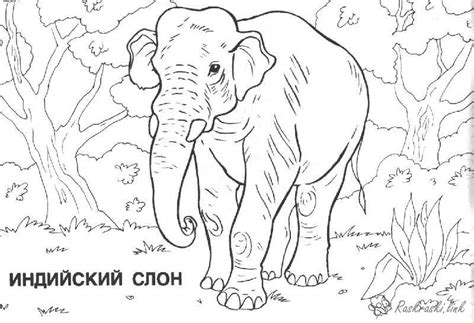 india Free Coloring pages online print.