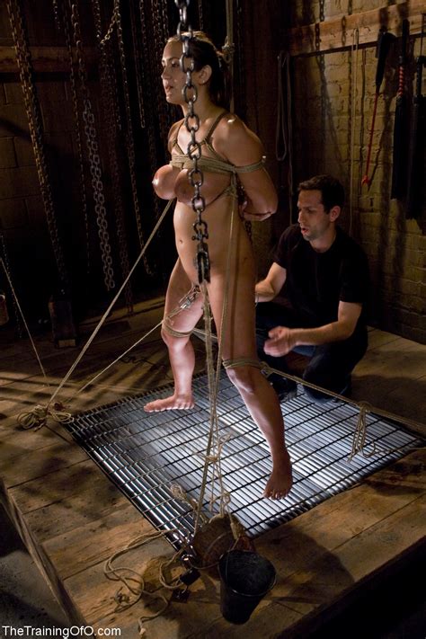The Training Of O Starring Maestro Trina Michaels Sex Gallery