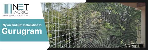 Nylon Bird Net Installation In Gurugram - Price starts Rs. 7 to Rs.12 ...