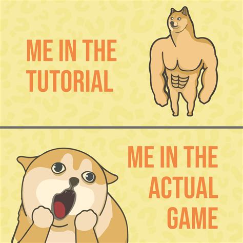 dog meme templates dog memes  zcgk