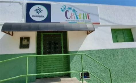 Crian A Picada Por Cobra Jararaca Em Creche No Sert O Da Para Ba