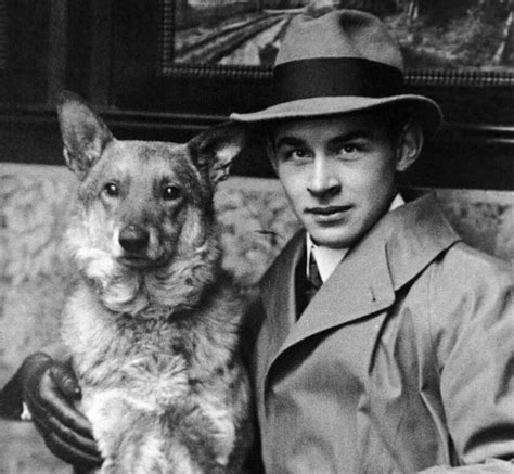 биография ремарка кратко на русском