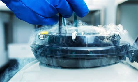 The Egg-Cellent Price Tag: Freezing Eggs Costs Revealed