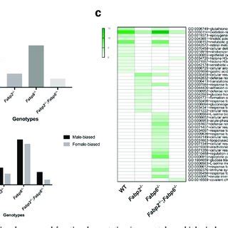 Sex Biased Genes And Functional Annotation Gene Ontology Biological
