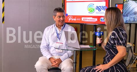 XXIX Seminario Perú 2024 | Blueberries Consulting