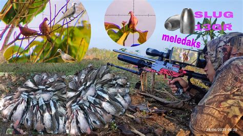 spot derkuku gak  abisnyaberburuderkukulongreng youtube