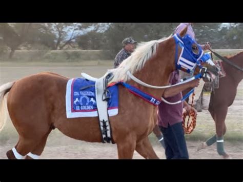 Bravo Ese Palomino El Golden Vs La Morita En Carril La Tira Youtube