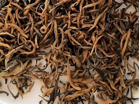Product variety - The Tea Company GmbH & Co. KG