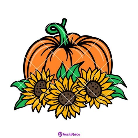 Pumpkin Svg Fall Pumpkin Svg Fall Svg Cut File Cricut Png Vector