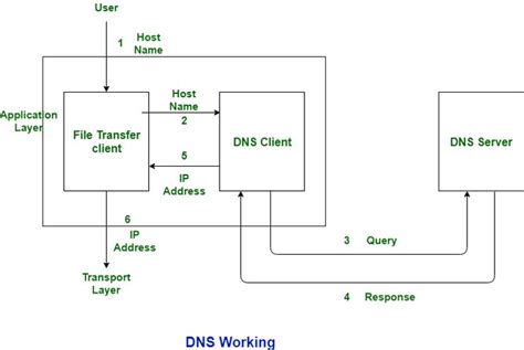 Difference Between Dns And Dhcp Geeksforgeeks Dns Computer Science