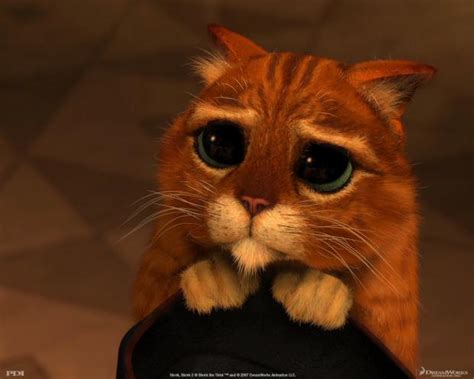 Shrek Cat Blank Template Imgflip