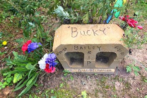 11 Homemade Headstone Ideas Ever Loved