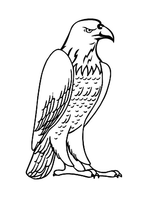 Awesome Bald Eagle coloring page