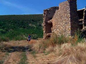 Watch VM205 Hairy Stockings Vintage Porn SpankBang