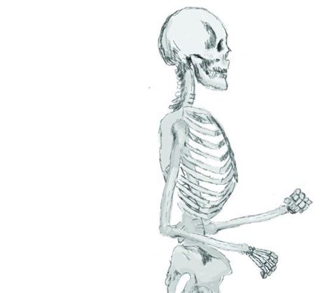 bone builders terra magazine