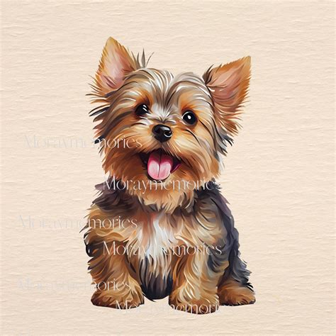 Yorkshire Terrier Long-haired. Watercolor Little Pet Clipart - Etsy