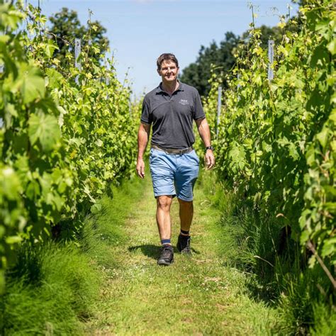 Cellar Door Naked Wines