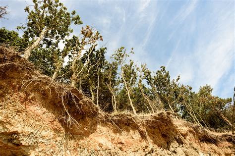 deposition  science science struck