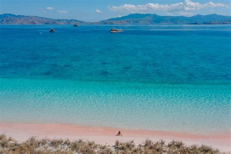 Pink Beach Komodo Island Indonesia Visitor S Guide