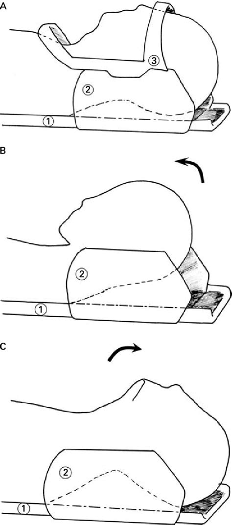 Positions Of The Cervical Spine For The Static And Dynamic Mri