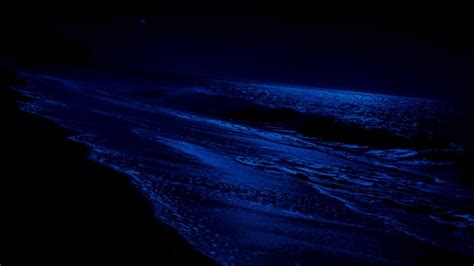 Ocean Sounds For Deep Sleep Relax With Night Ocean Waves The Silent