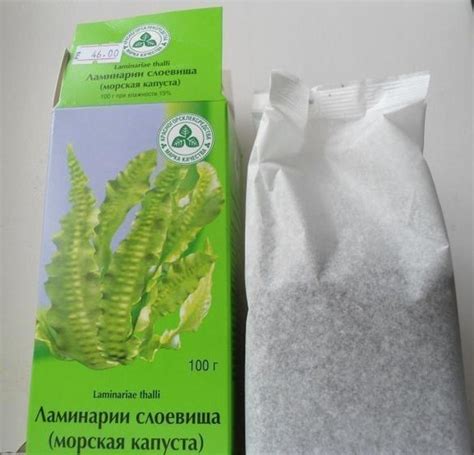 Водоросли ламинарии омолаживают кожу лица