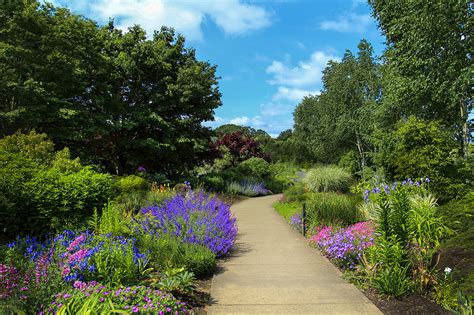 Photographing Oregon: Oregon Garden