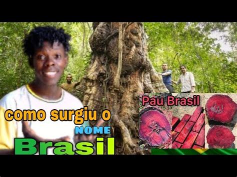 Como Surgiu O Nome Brasil - como é que surgiu o nome Brasil qual á origem do nome Brasil. - YouTube