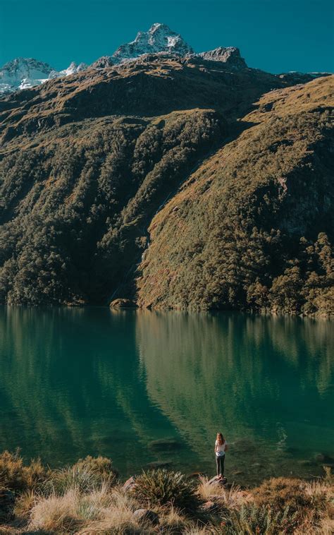 Lake Marian New Zealand Fiordland National Park Artofit