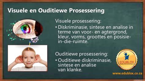 Die Rol Van Visuele En Ouditiewe Prosessering In Lees Prosessering