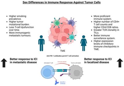 Sex Differences In The Efficacy Of Immune Checkpoint Inhibitors In Neoadjuvant Therapy Of Non