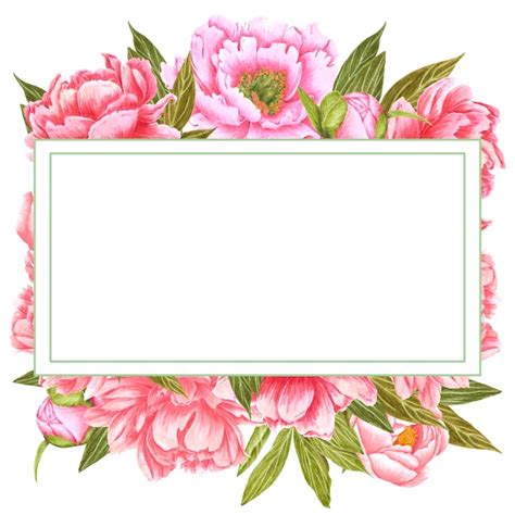 Пионы рамка Изображения – скачать бесплатно на Freepik