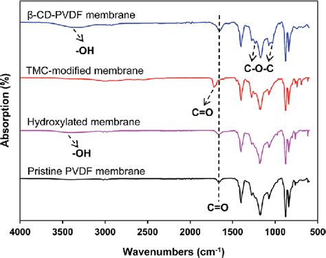 Ftir Atr Spectrum Of Pristine Pvdf Membrane Hydroxylated Membrane Download Scientific Diagram