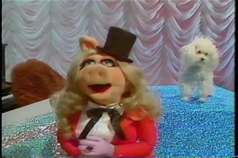 The Kermit And Piggy Story Muppet Wiki