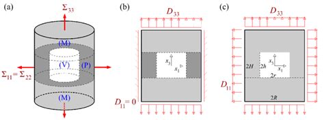 A Cylindrical Cell Representing Coalescence In Layers B Meridian